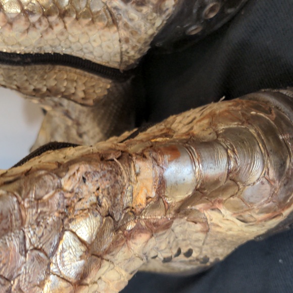 Donald Pliners Python Boot - Picture 5 of 10